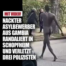 Die neuen Mitbürger in Aktion